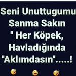 Derya