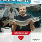 Ziya