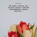 Meryem