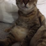 Onur