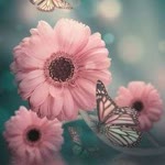 Hatice