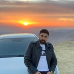 Şahin