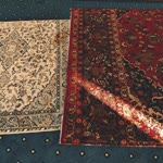 Feyza