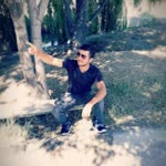 Halil