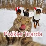 Kerim