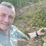 Serdar