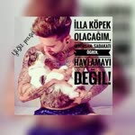 Yiğit