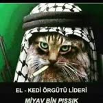 Cihan