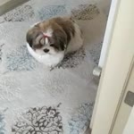 Mine