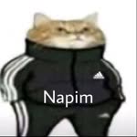 Mafik