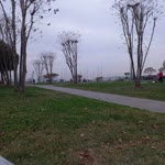Yeşim