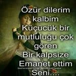 Şanlı