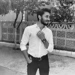 Şahin