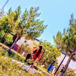 Hatice