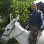 Tayfun