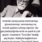 Melek