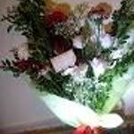 Tugba