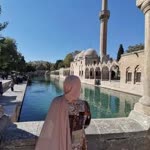 Rabia