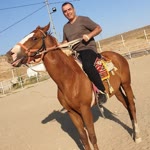 İsmail