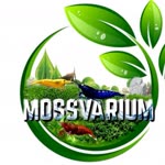 Mossvarium