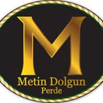 Metin