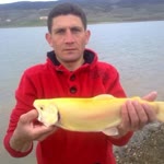 Oğuz