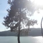 Gönül