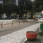 Özgenur