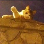Beyza