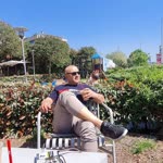 Erdal