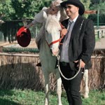 Öykü