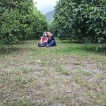 Yasemin