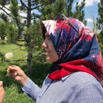 Fatma