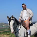Halit