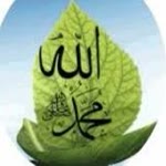Yunus