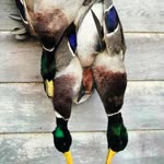 Hunter