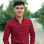 Ali