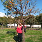 Derya