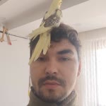 Kaan