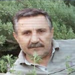 Vefa