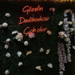 Hazal