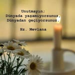 Bilcan