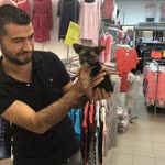Semih