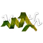 Muhammet