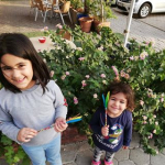 Cenap