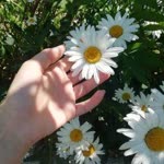 Beyza