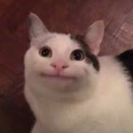 Tevfik