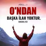 Vedat