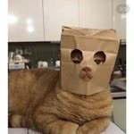 Utku