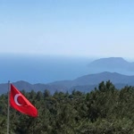 İnci